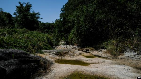 The Salindres River is totally dried as a heat wave broke a string of records in France, June 17, 2022. 